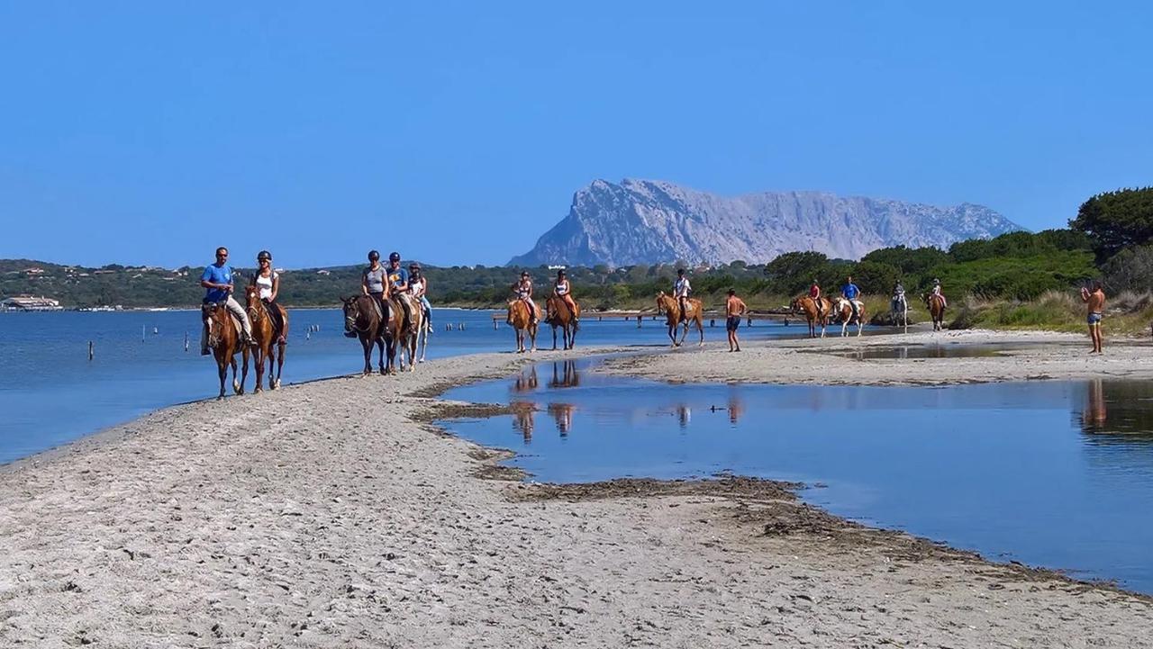 Appartamento Sette Posti Vicino Al Centro Di San Teodoro 산테오도로 외부 사진