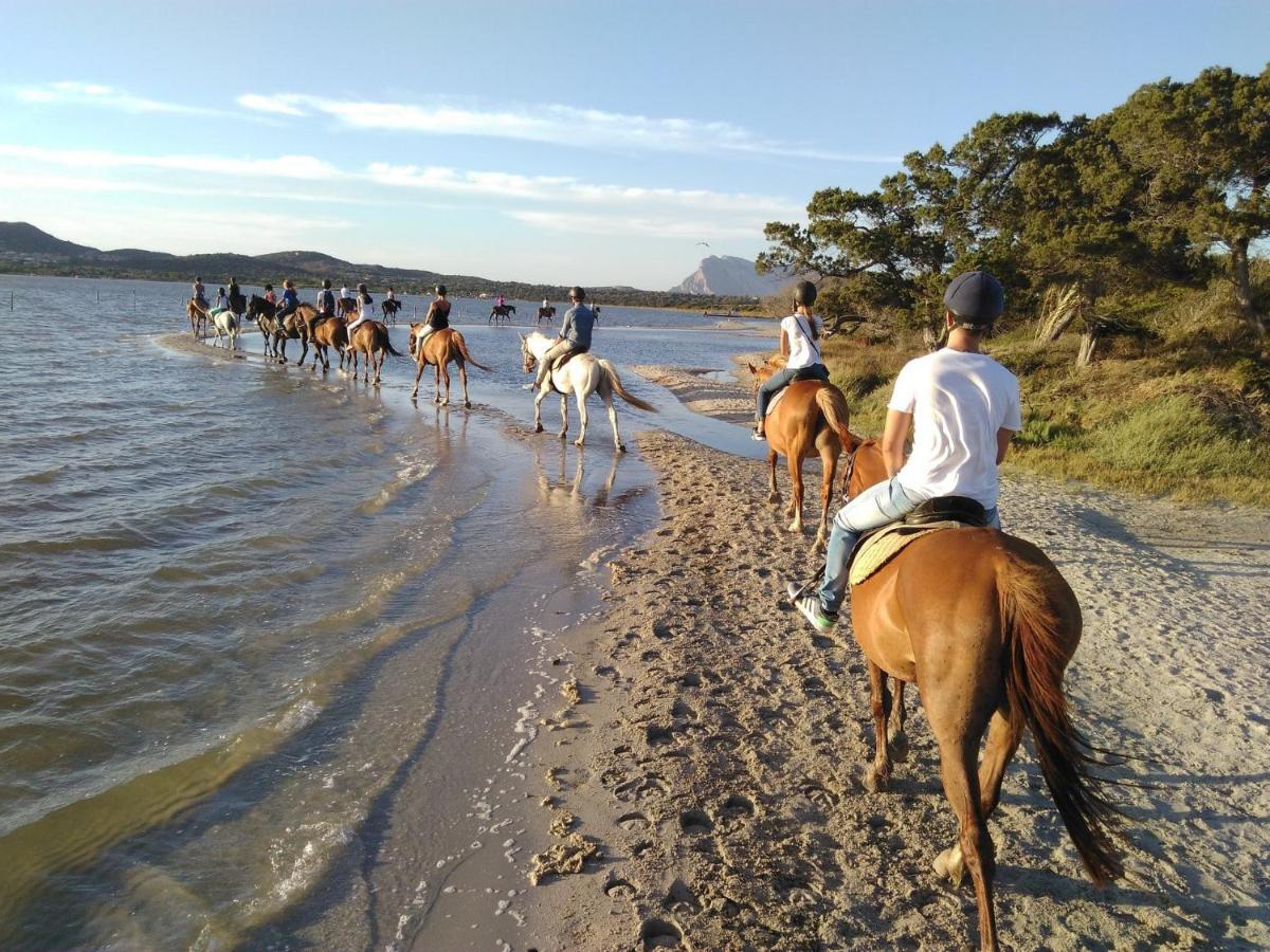 Appartamento Sette Posti Vicino Al Centro Di San Teodoro 산테오도로 외부 사진